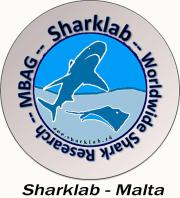 Sharklab Malta